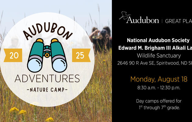 Audubon Adventures Nature Camp