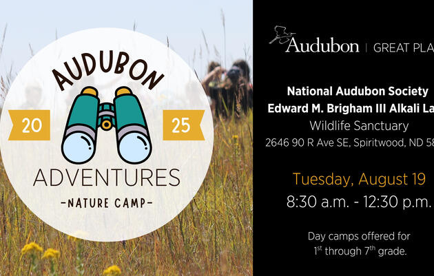 Audubon Adventures Nature Camp