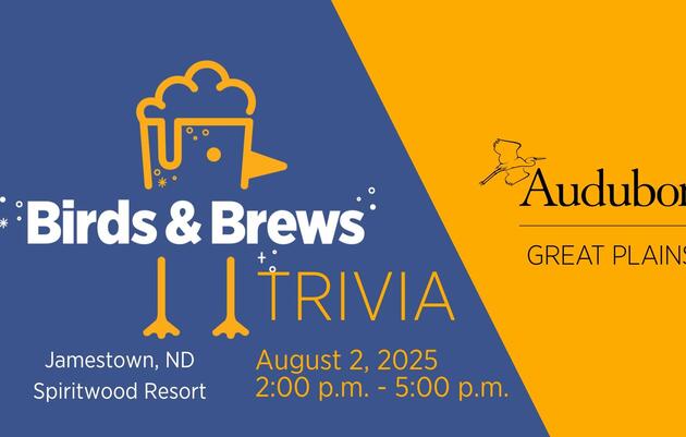 Birds and Brews Trivia