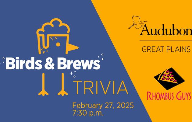 Birds and Brews Trivia