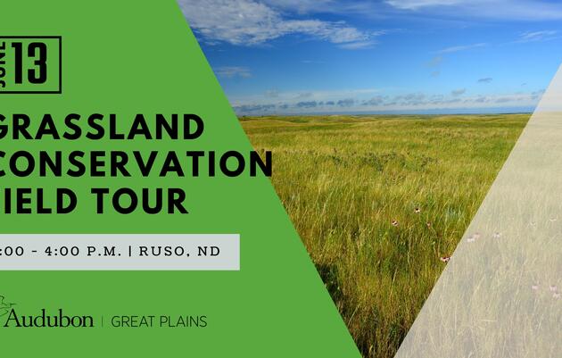 Grassland Conservation Field Tour 