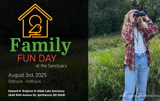 Family Fun Day at the Sanctuary