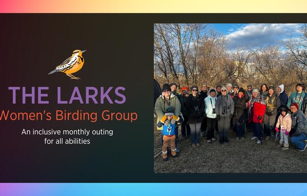 Lark Women's Birding Group