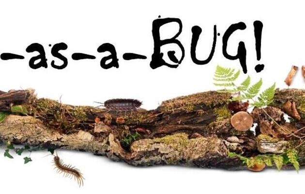 Snug-as-a-Bug!