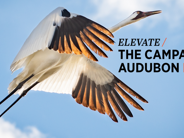 Audubon Nebraska announces $34 million Elevate Fundraising Campaign 