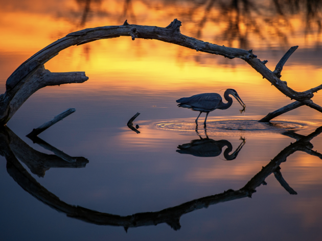 Letter from Kristal Stoner, Audubon Great Plains Executive Director