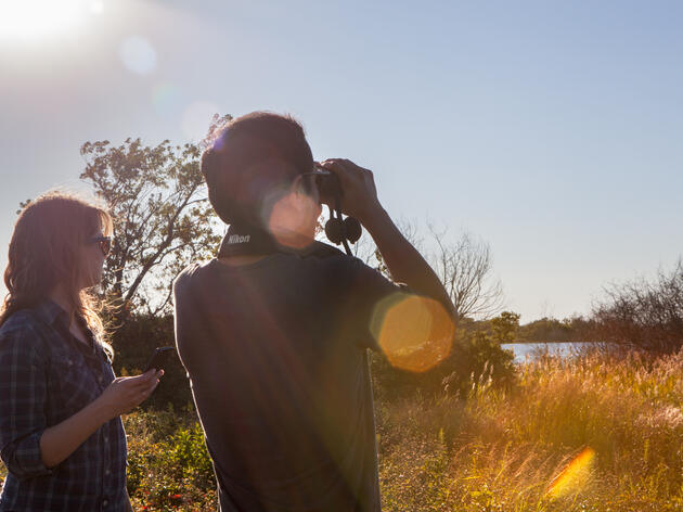 Climate Change and its Effect on Birds: A New  Community Science Project