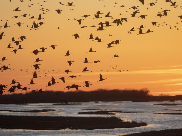 Nebraskans Unite to Protect Environmental Trust Funding