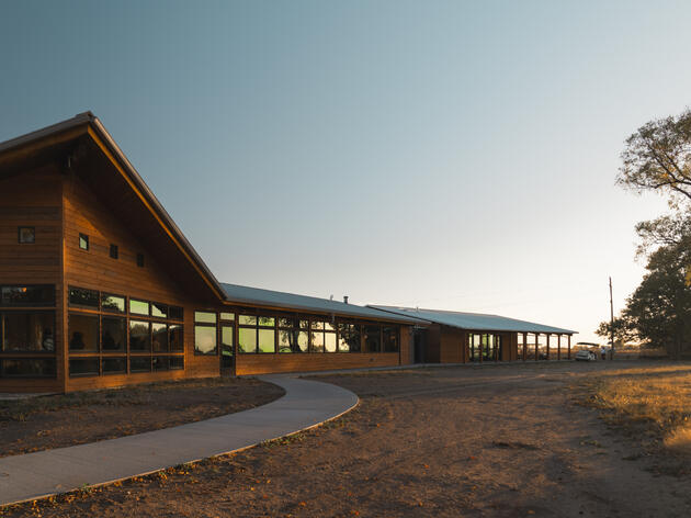 Carrying Conservation Forward: The Lasting Impact of Monique Gershon’s Will