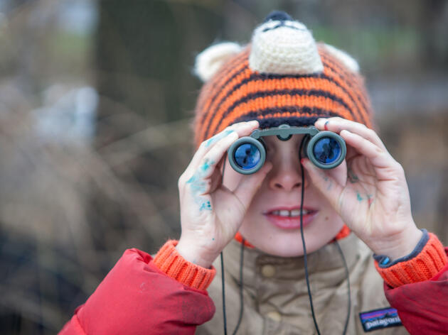 The 120th Year of the Christmas Bird Count
