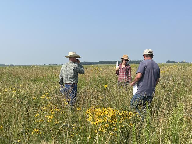 The Conservation Forage Program Restores 10,000 Acres of Grassland in North Dakota    