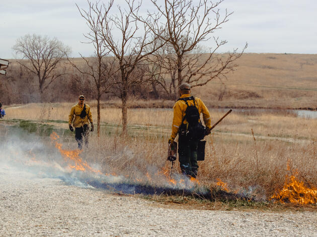 “The prairie takes care of itself, right?”
