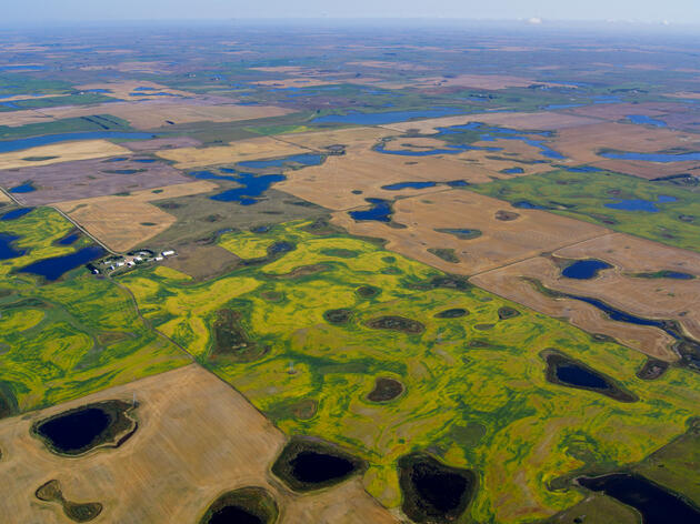 Audubon Great Plains commends North Dakota delegation 