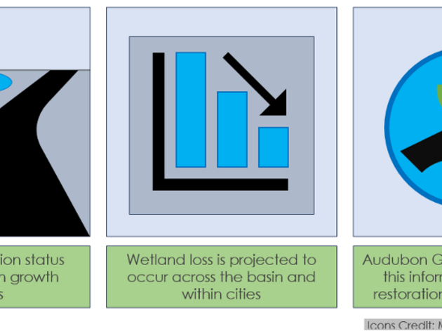 Prioritizing Wetlands Using NASA Technology
