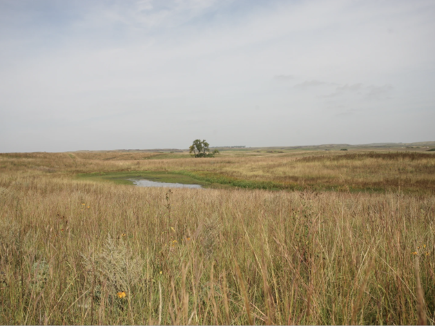 Grazing Gone Wild: Hoskin Family Farm Earns Audubon Bird-Friendly Certification