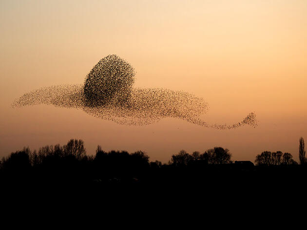 At a Time of Standstill, Remembering the Significance of Life on the Move 