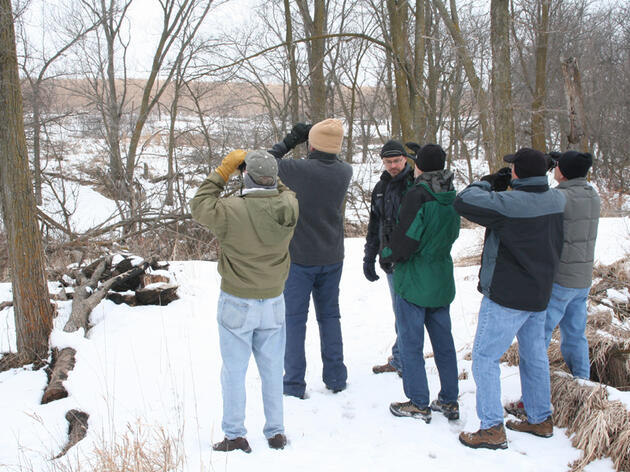 Audubon Celebrates 119th Annual Christmas Bird Count 