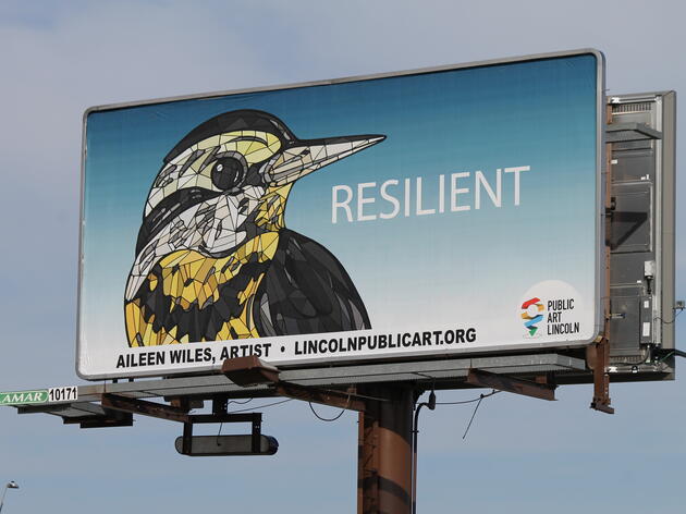 Bigger Than Life Birds: Behind the Bird Billboards