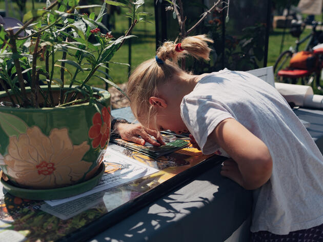Monarch Watch Family Program