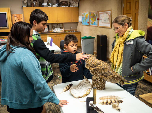 Prowl for Owls and Other Nocturnal Creatures