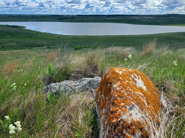 Increasing the Biodiversity of the Prairie