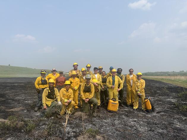 Restoring Grasslands