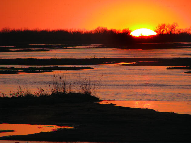 A Family Firefly Picnic on the Platte