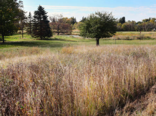 Moorhead Sites - South