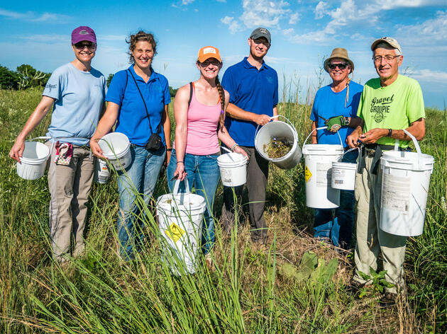 Learn About and Collect Native Plant Seeds