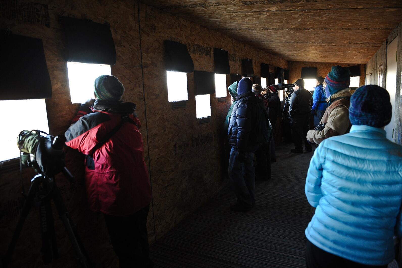 Crane viewing blind