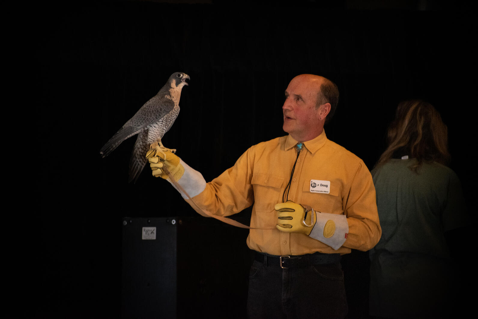 Doug Finch of Raptor Conservation Alliance with Shasta, a Peregrine Falcon. 