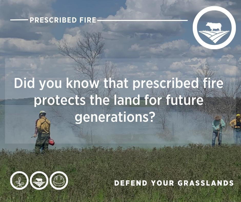 Defend your grasslands