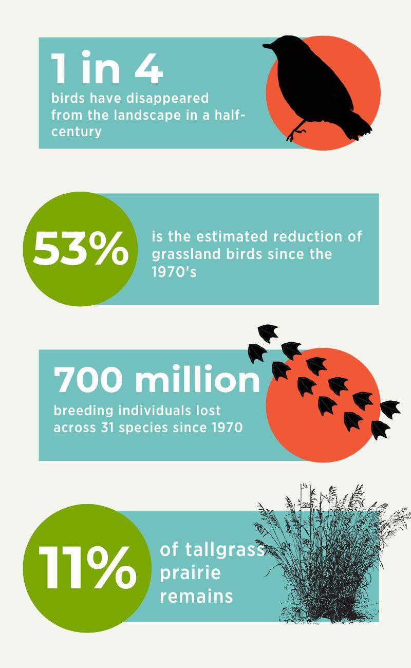 Great plains infographic