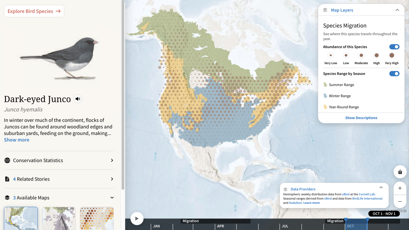 Bird Migration Explorer - Dark-eyed Junco migration