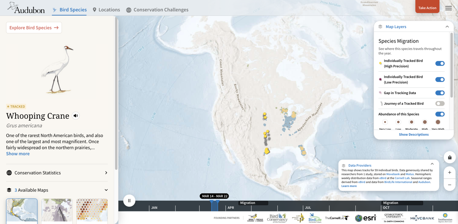 Bird Migration Explorer - Whooping Crane migration