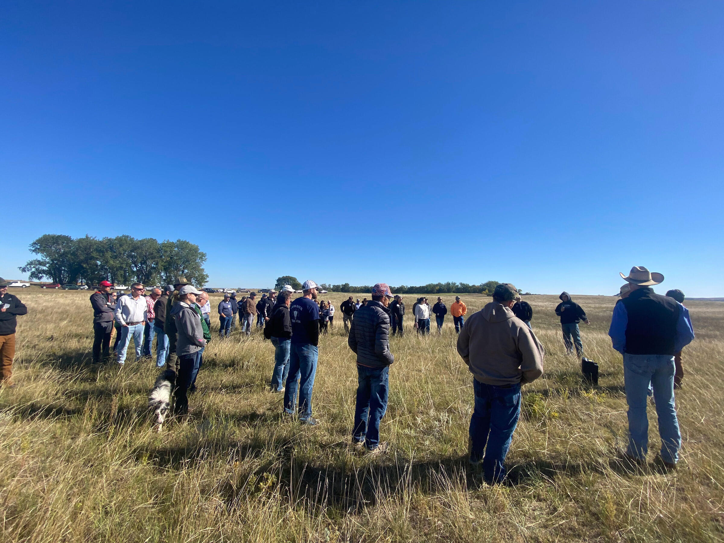 People outside in field